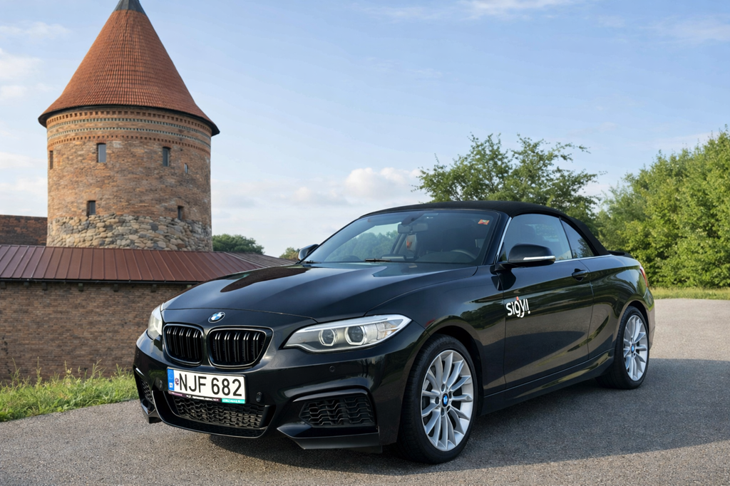 BMW 228i Cabrio car rental