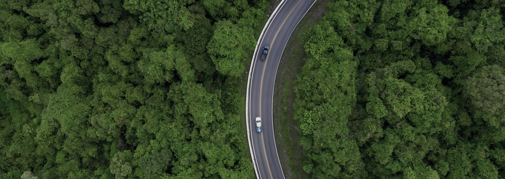 highway in the forest